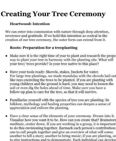 Teacher Guide Creating your own tree Ceremony