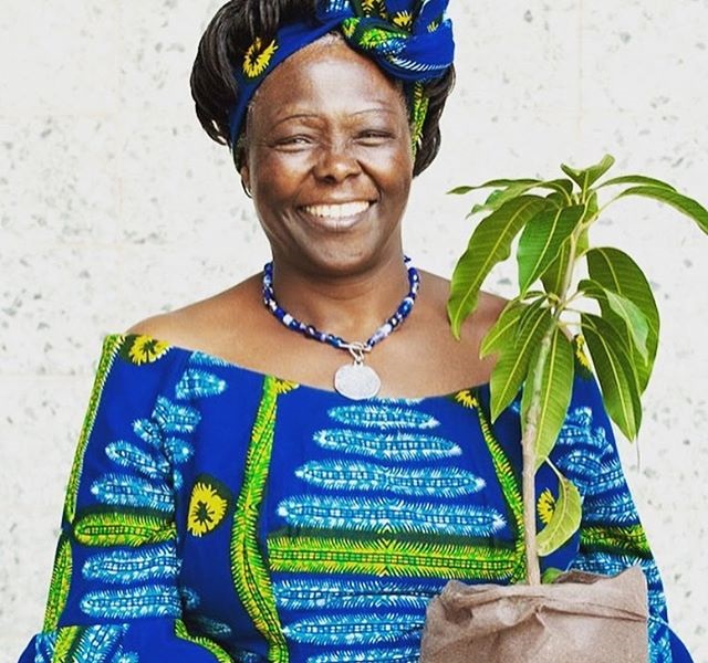 Wangari Maathai National Council of Women